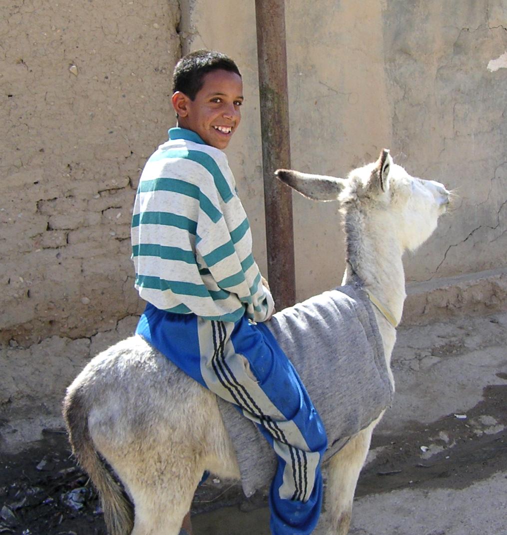 Photograph of teenager on a donkey in Iraq. Photograph by an American soldier of C Co, 1/252 Army Reserve Battalion. 