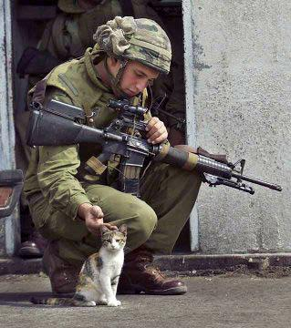 Photograph of an American soldier, kneeling to touch a cat. Photograph by an unidentified American. 